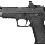 P226 ZEV For Sale for sale