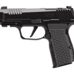 Buy P365-LUXE 380 for sale